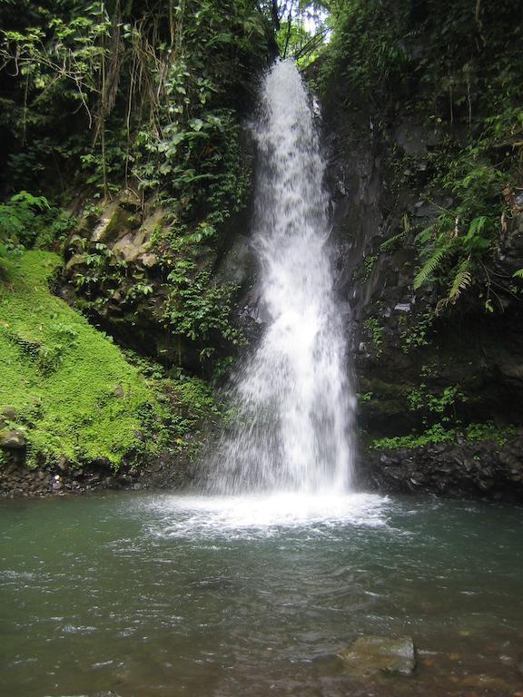 The Aura Shanti Retreat Baturiti Ngoại thất bức ảnh