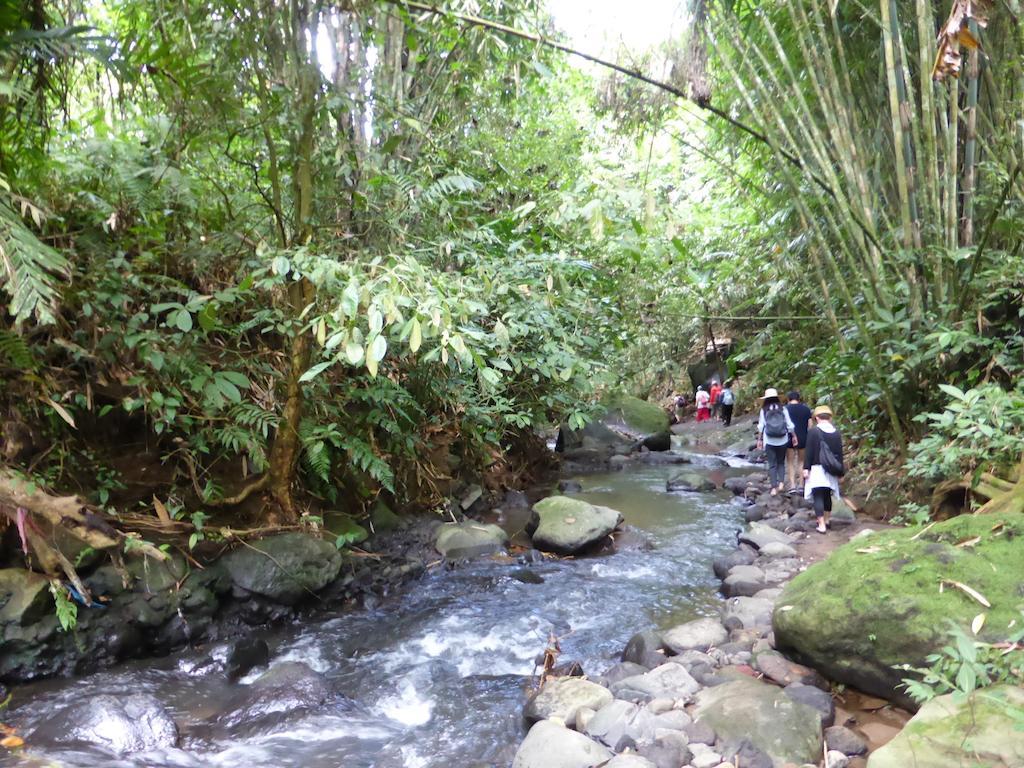 The Aura Shanti Retreat Baturiti Ngoại thất bức ảnh
