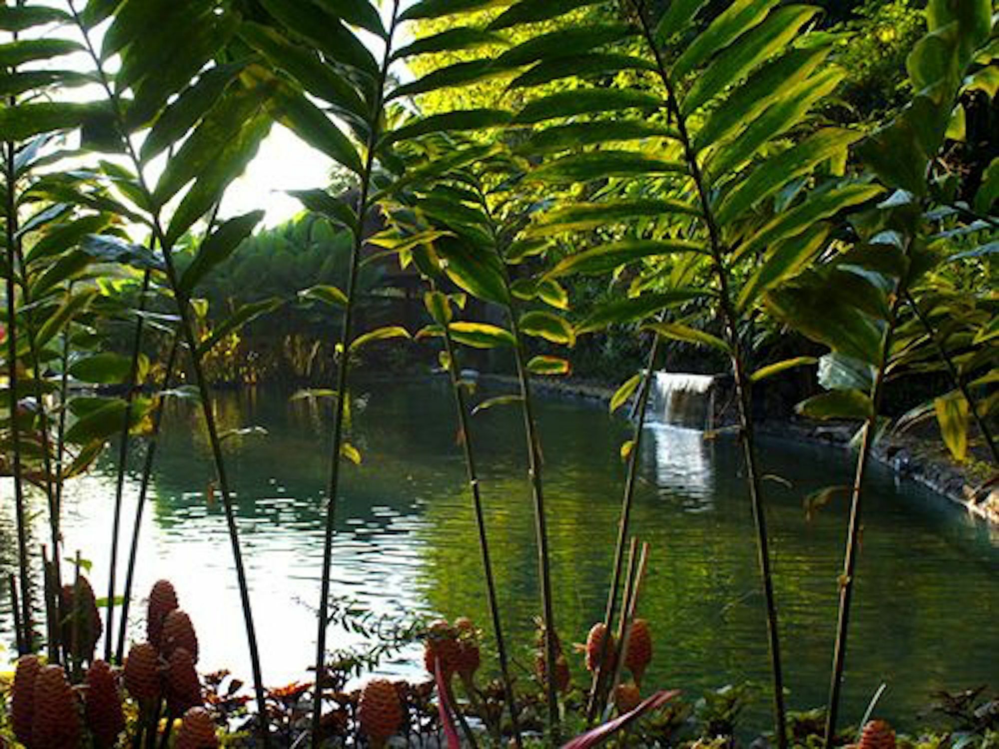 The Aura Shanti Retreat Baturiti Ngoại thất bức ảnh